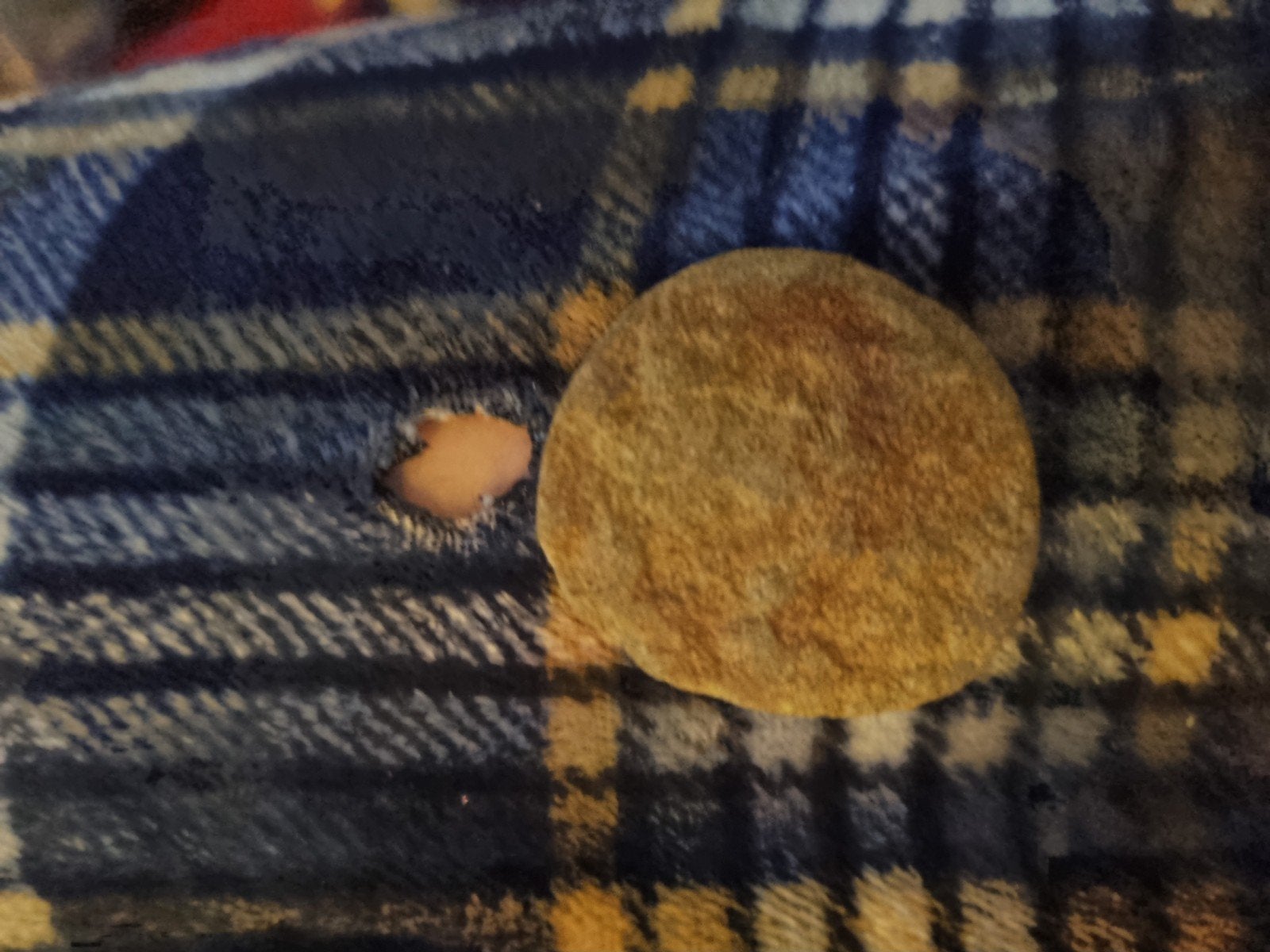 Gezellige geruite deken met aardappelchip, Gebruikt, 100 tot 150 cm, Geruit, Klassiek, Ophalen of Verzenden