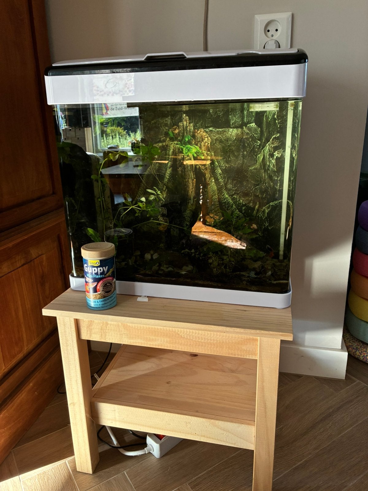 Aquarium, Ophalen, Zo goed als nieuw, Gevuld zoetwateraquarium