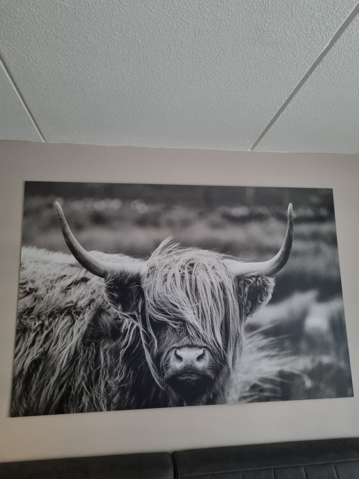 schilderij, Ophalen, Zo goed als nieuw, Minder dan 50 cm, Schilderij