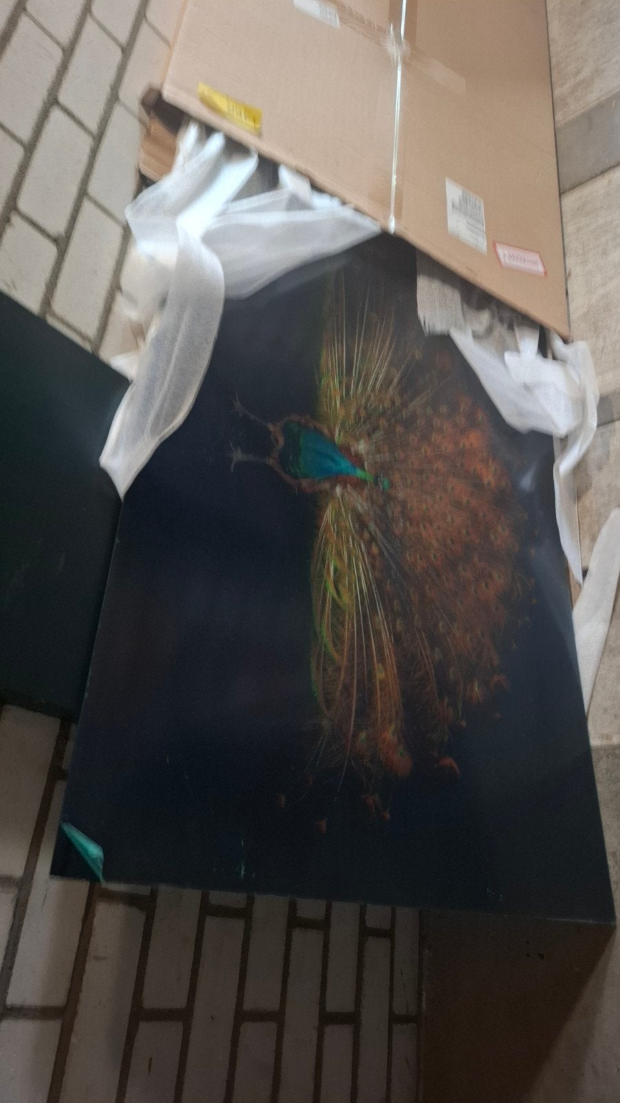 NIEUW in doos, gaaf art pauw schilderij foto plexiglas, Ophalen, Nieuw