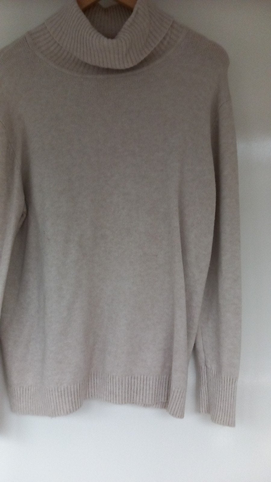 licht beige maat 40 coltrui, Verzenden, Zo goed als nieuw, Maat 38/40 (M), Beige