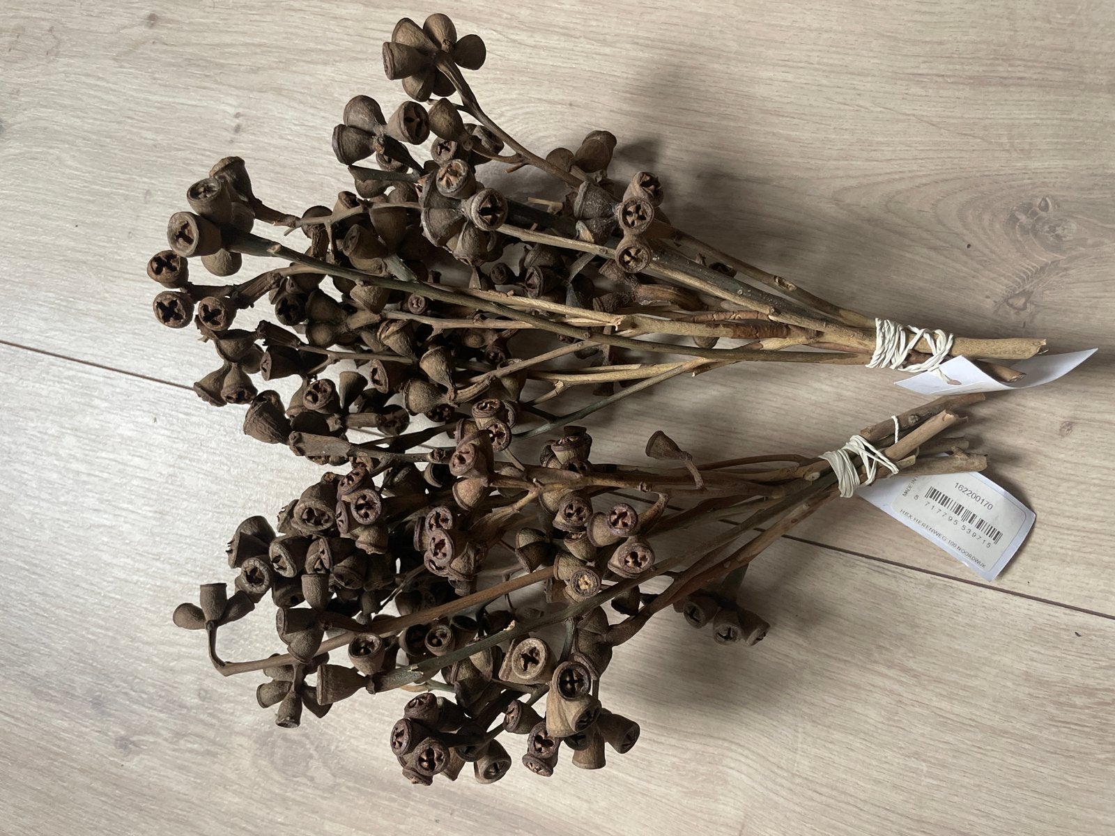 2 bosjes gedroogde Eucalyptus Berries / Bell Gum - 33 cm, Ophalen, Nieuw, Landelijk, Natuurlijk materiaal