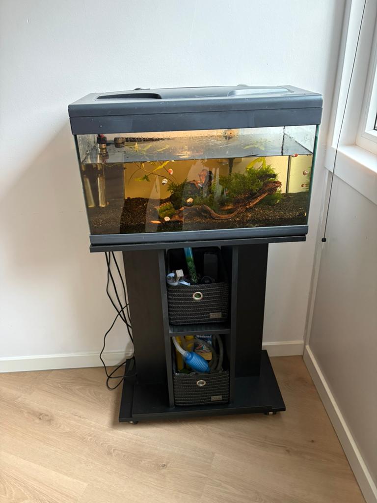 Superfish aquarium 60x30 incl. Meubel, Dieren en Toebehoren, Ophalen, Verwarming, Zo goed als nieuw, Overige typen