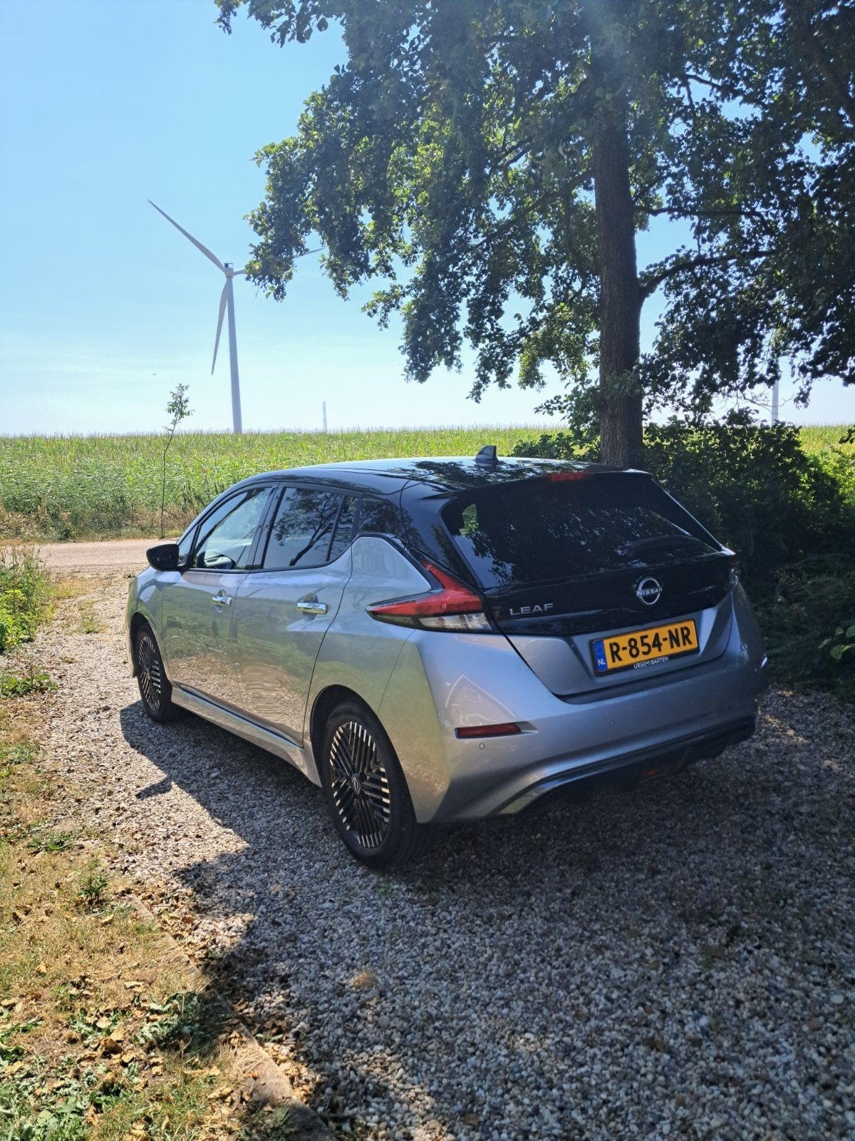 Foto 3 van Nissan Leaf Electric e+ Tekna  62kWh 2022 Grijs