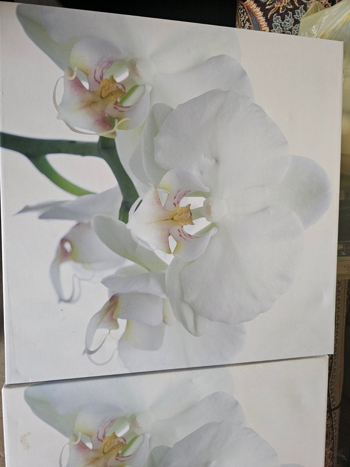 5 canvas schilderijen met bloemen Gratis, Ophalen, 50 – 75, Gebruikt, Print