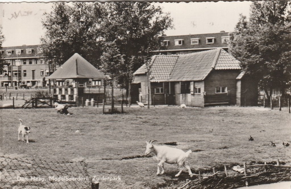 den haag- modelboerderij zuiderpark, Verzamelen, Ophalen of Verzenden, Voor 1920, Zuid-Holland
