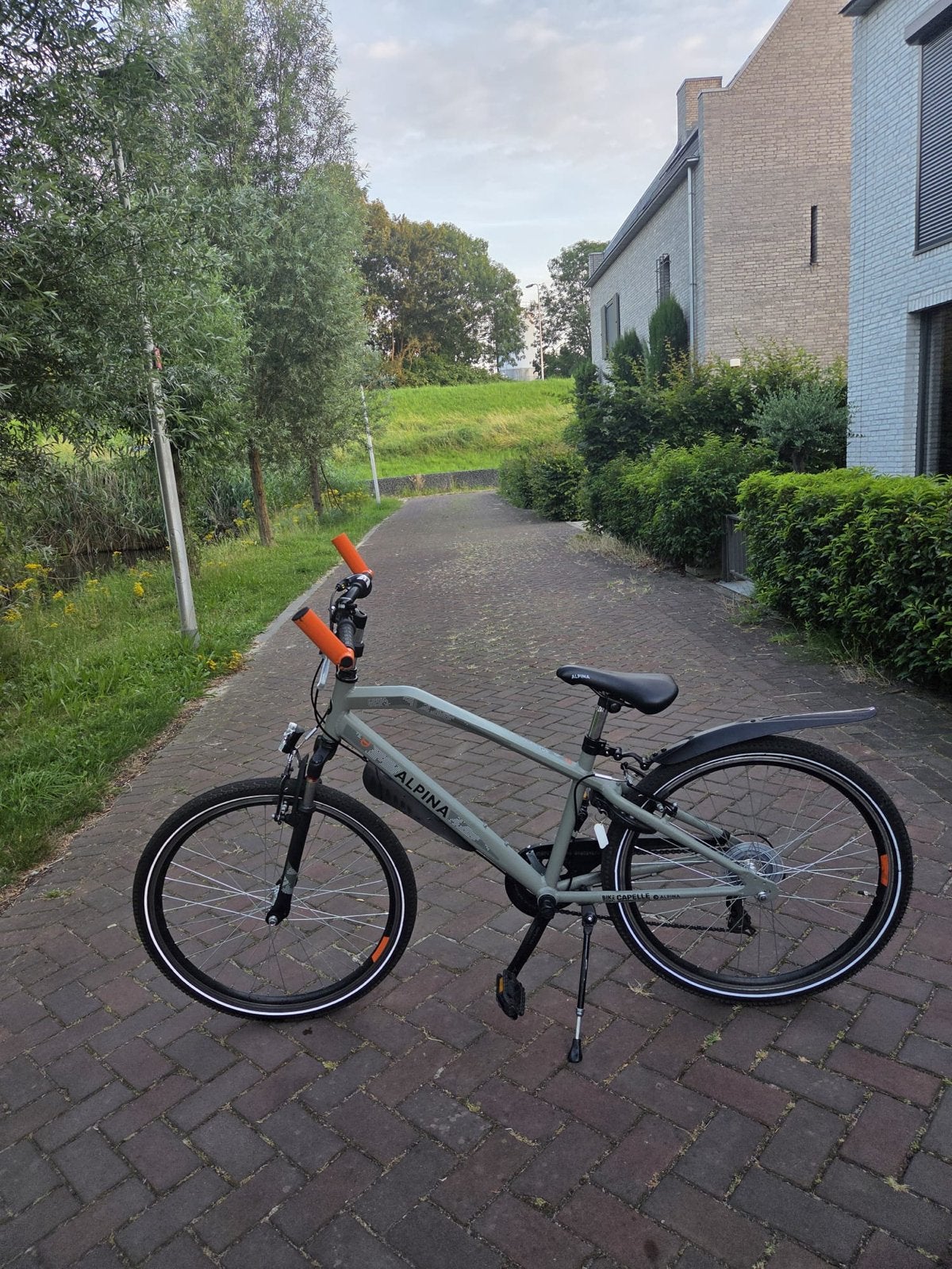 Alpina jongensfiets met 7 versnellingen, Gebruikt, Velgrem, Versnellingen, 53 tot 57 cm