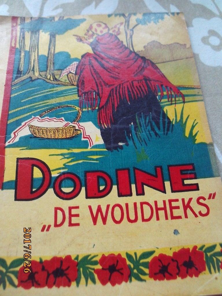 kinderboek Dodine de woudheks 1940 kleur prenten gaaf ex, Ophalen of Verzenden, Gelezen, Fictie
