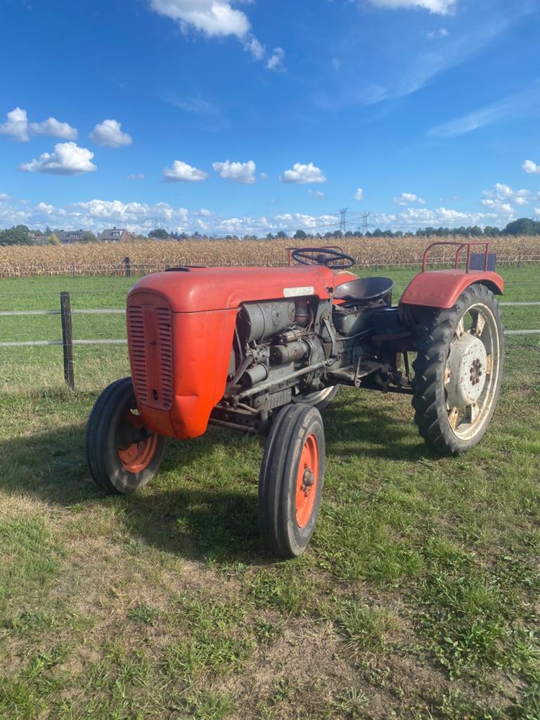 Same puledro B, Ophalen, Gebruikt, Same, 2500 tot 5000