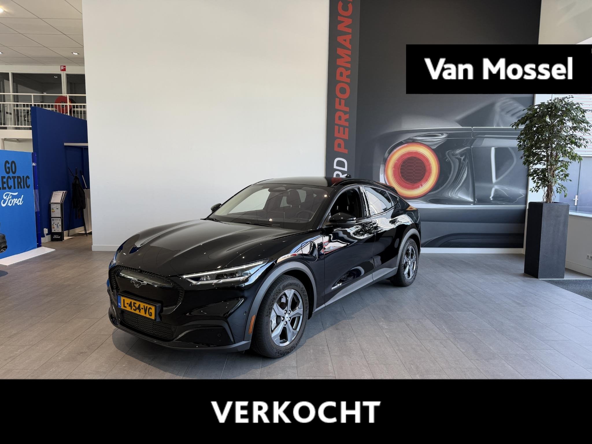 Ford Mustang Mach-E RWD 75 kWh | WINTERPACK | ADAPTIVE CRUIS, Automaat, 12 maanden, Achterwielaandrijving, Gebruikt