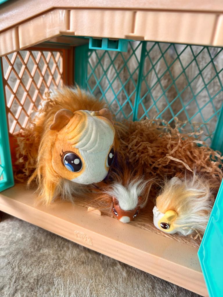 Scruff-a-Luvs Familie Cavia's met Huisje, Kinderen en Baby's, Speelgoed | Knuffels en Pluche, Oranje, Overige merken, Overige karakters