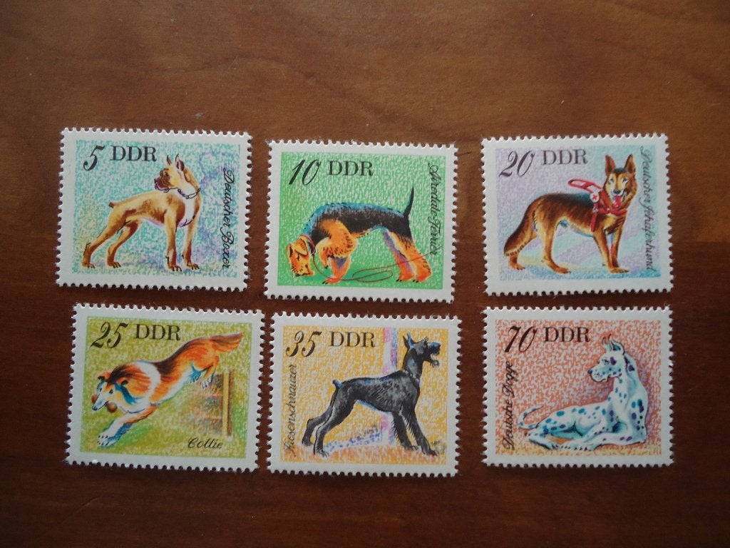 Dier honden DDR 1976, mi. 2155-60 postfris, Ophalen of Verzenden, DDR, Postfris