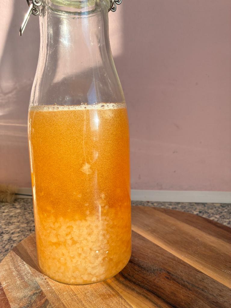 Waterkefir, Diversen, Levensmiddelen, Ophalen