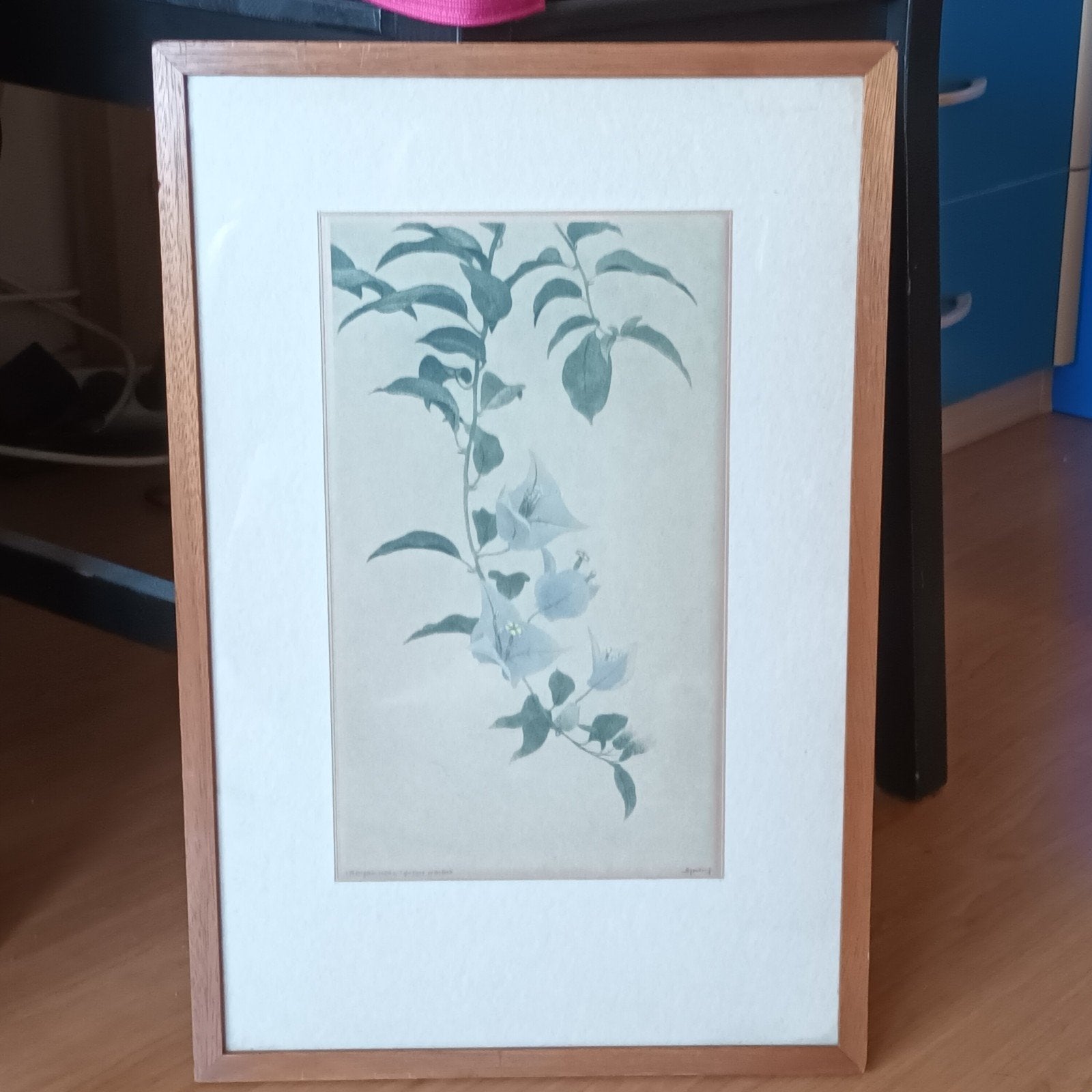 Dirk Harting (1884-1970), zeldzame ets, Bougainvillea, Ophalen of Verzenden