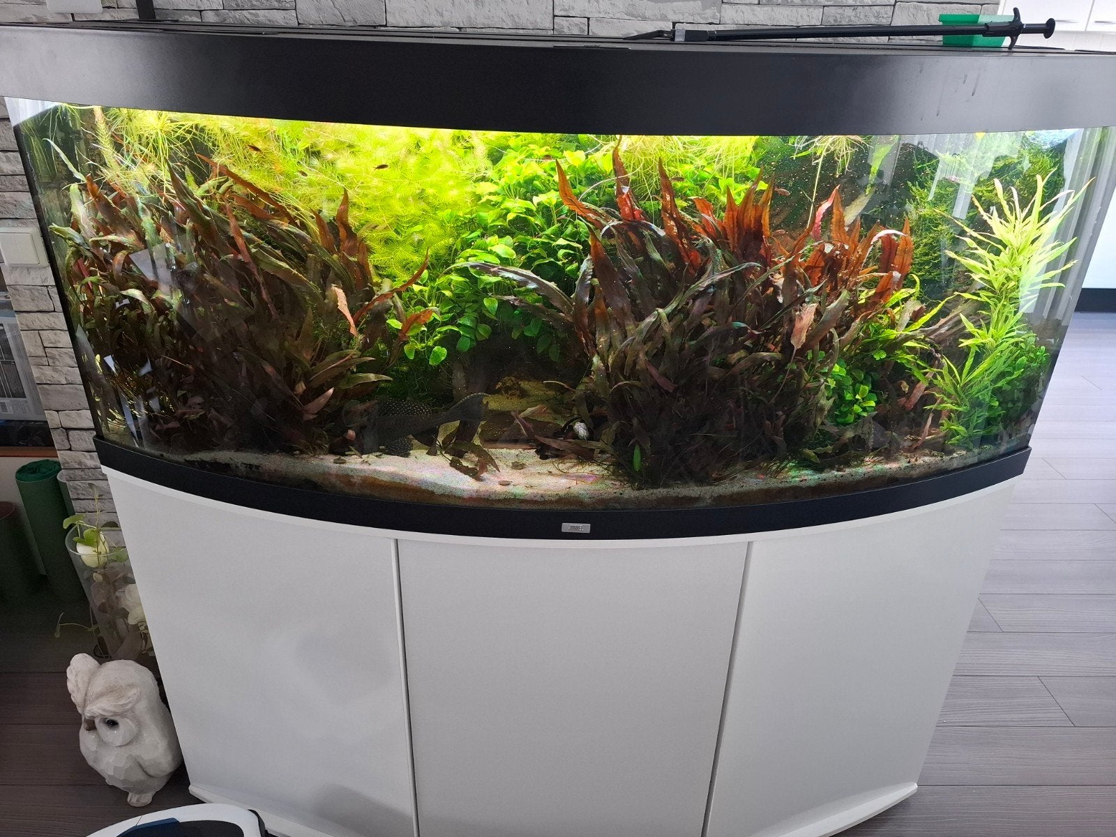 Compleet draaiend nette Juwel vision 450, helialux, 2x Eheim, Ophalen, Inclusief controller, Gevuld zoetwateraquarium, Juwel