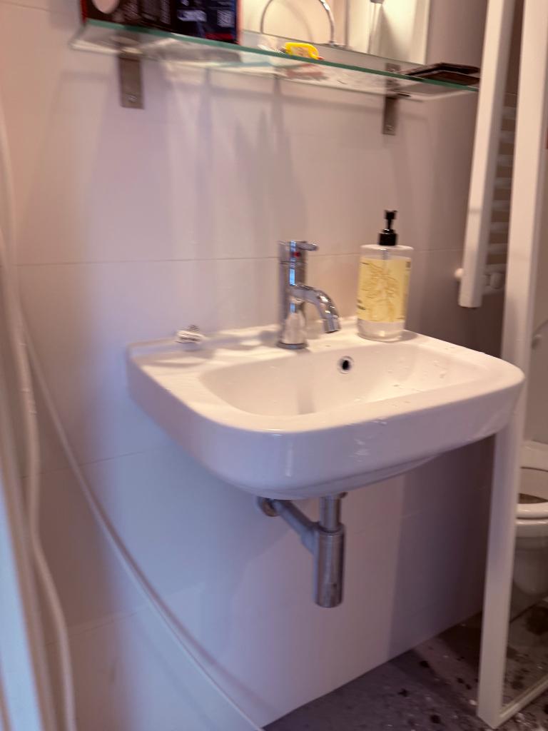 Sink and sanitary system, Ophalen, Gebruikt, Met douche