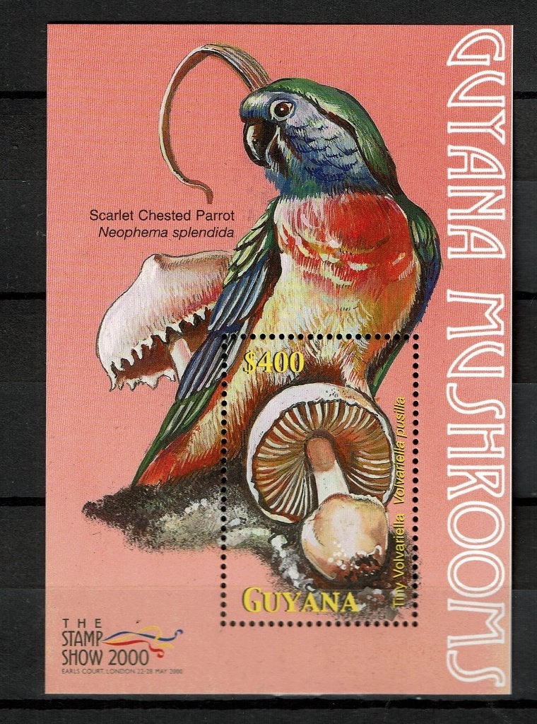 GUYANA 2000 PF BLOK PAPEGAAIEN VOGELS PADDENSTOELEN BIRDS, Postzegels en Munten, Ophalen of Verzenden, Postfris, Dier of Natuur