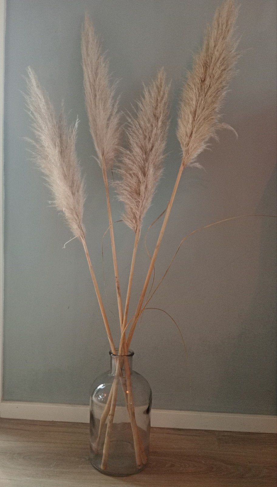 Vaas met sierpluimen - Pampasgras decoratie, Ophalen, Overige kleuren, 75 cm of meer, Glas