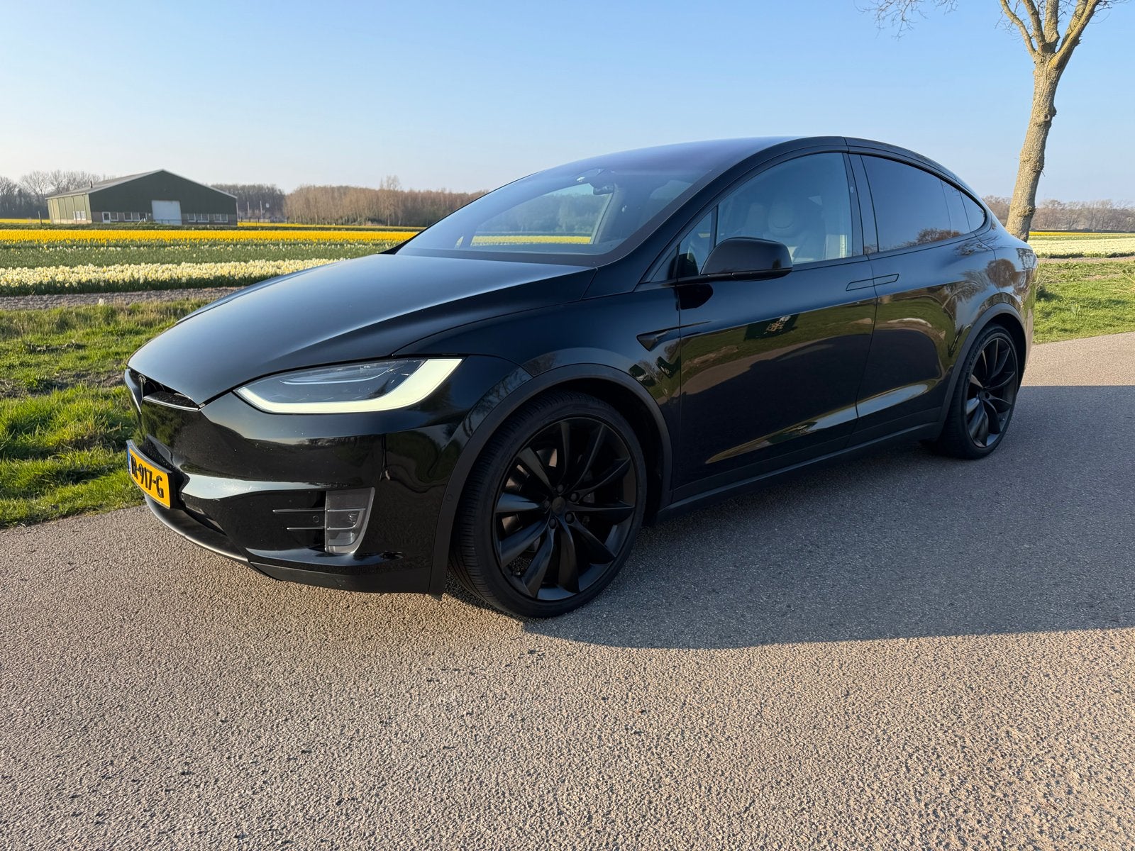 Tesla Model X 100D 2018 | Full options | 6-pers | 97.000 km, Auto's, Tesla, Particulier, Model X, 4x4, ABS, Achteruitrijcamera