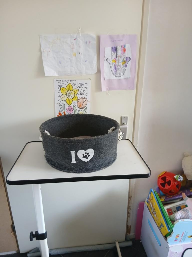 Leuk katten mandje nr 906, Ophalen of Verzenden, Gebruikt