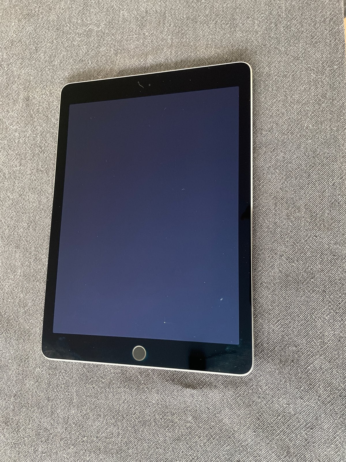Zilveren iPad Air 2 64GB met hoesje, Gebruikt, Apple iPad Air, Ophalen of Verzenden, 64 GB