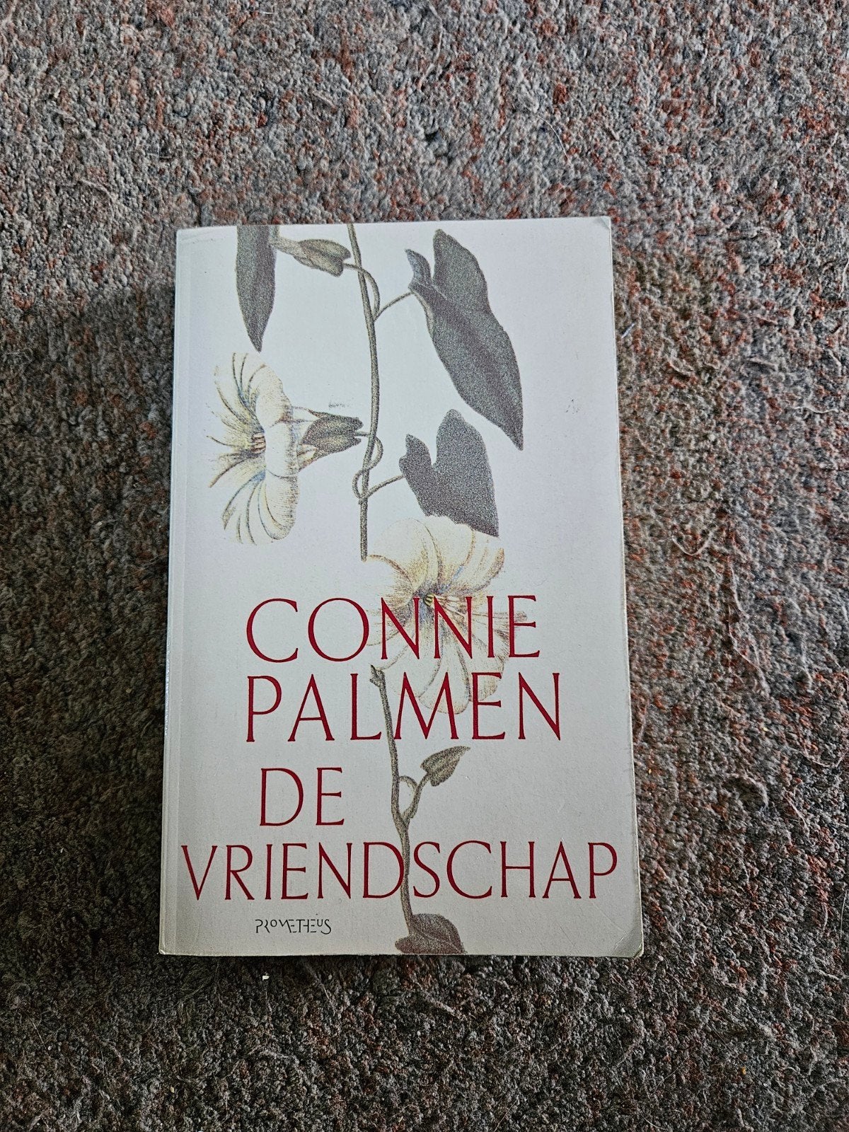 Connie Palmen - De vriendschap, Ophalen of Verzenden, Zo goed als nieuw, Connie Palmen