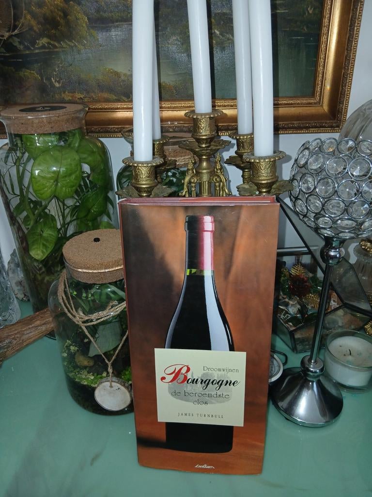 Droomwijnen Bourgogne de beroemdste clos - James Turnbull, Boeken, Ophalen of Verzenden, Zo goed als nieuw, James turnbull