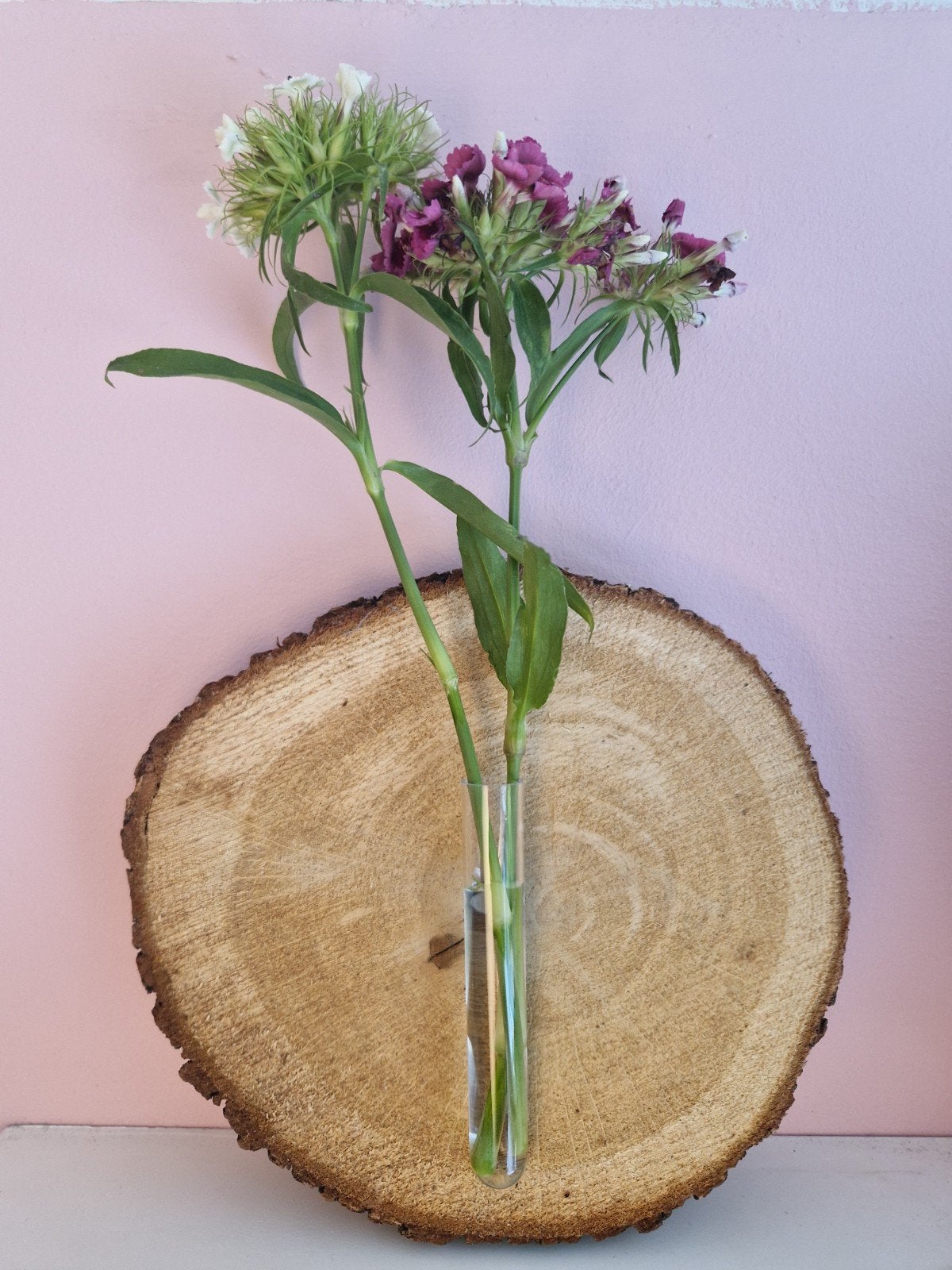 Eikenhouten schijfjes met reageerbuisje, Ophalen, Eigen ontwerp, Hout, Bruin