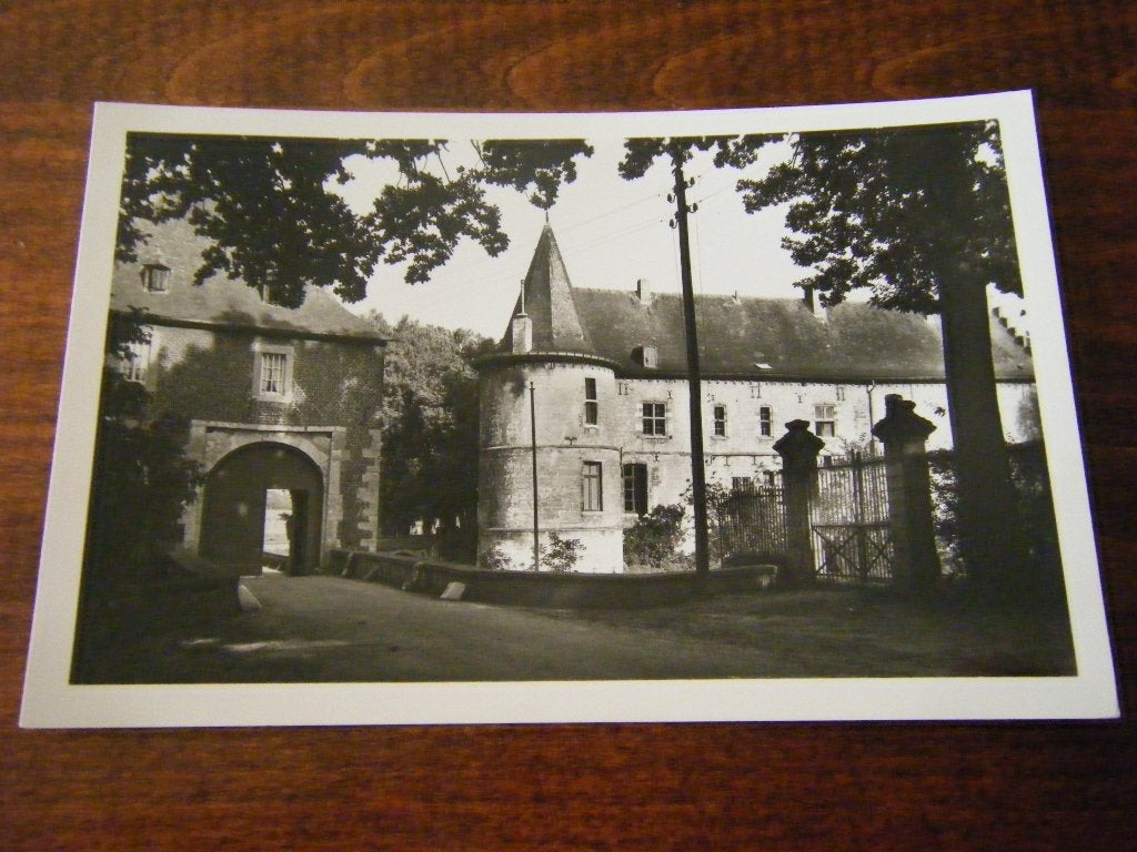 G38 - Voerendaal - Kasteel - Mooi/Oud, Ophalen of Verzenden, 1940 tot 1960, Limburg