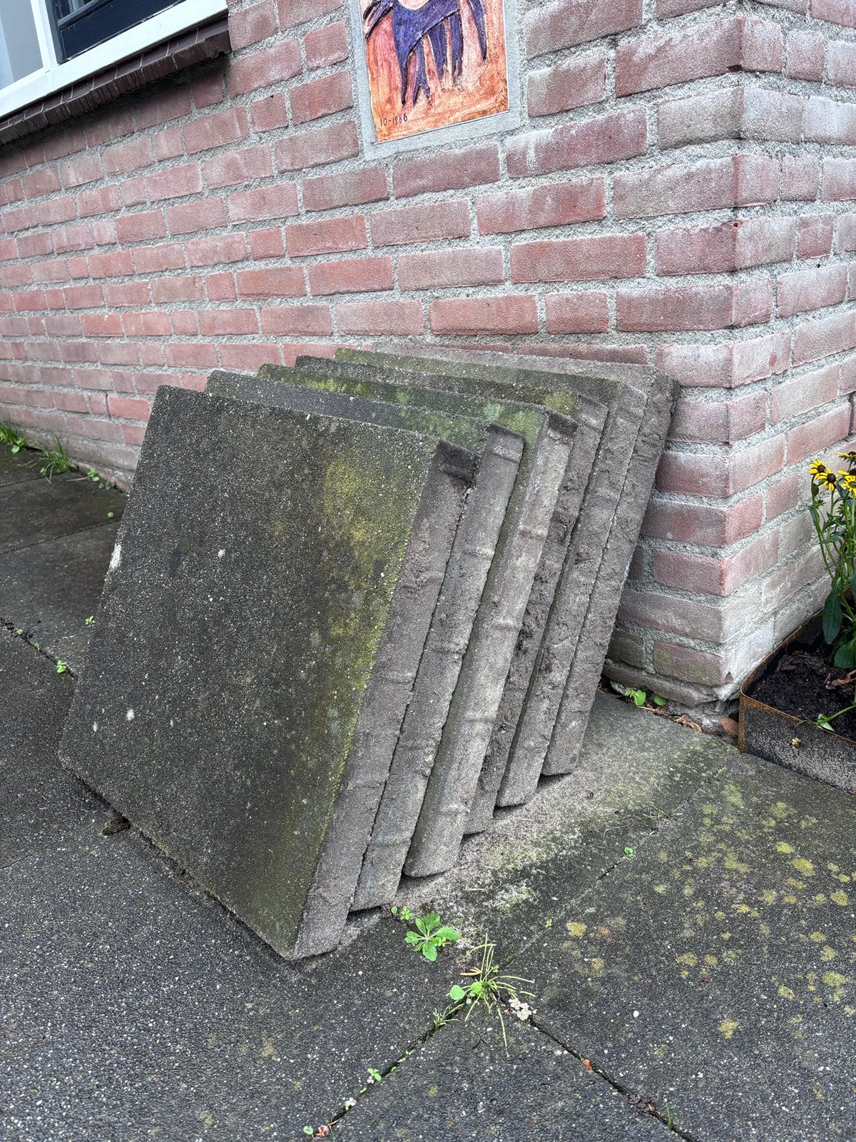 Dikke straattegels 50x50x6,5, Tuin en Terras, Ophalen, Gebruikt, Beton, Terrastegels