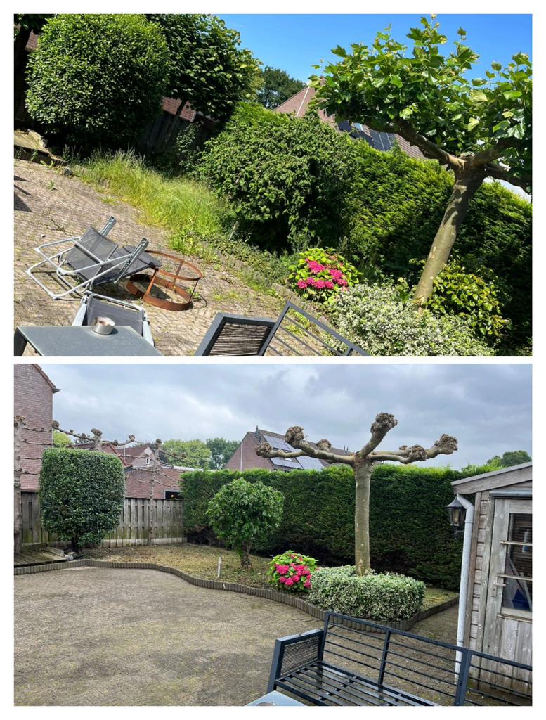 Tuinman/hovenier, Tuinonderhoud of Snoeiwerk