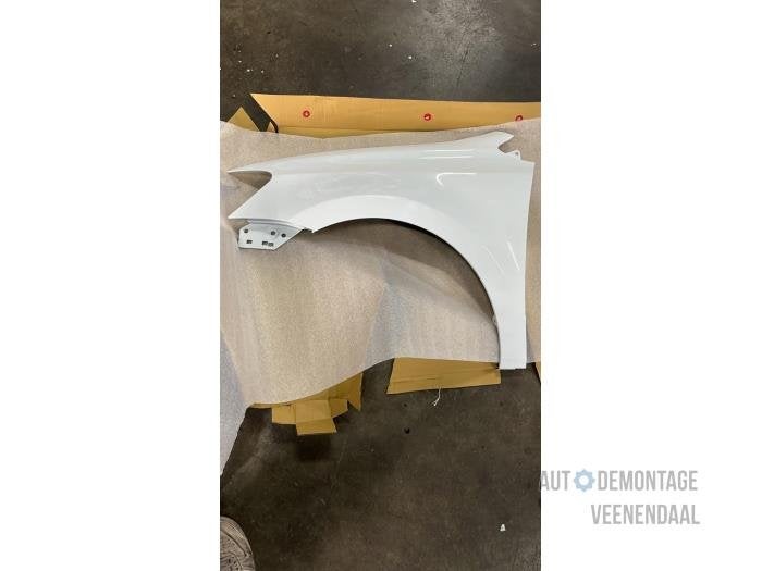 Scherm links-voor van een Volkswagen Polo (LC9A), -, Volkswagen, -, Nieuw