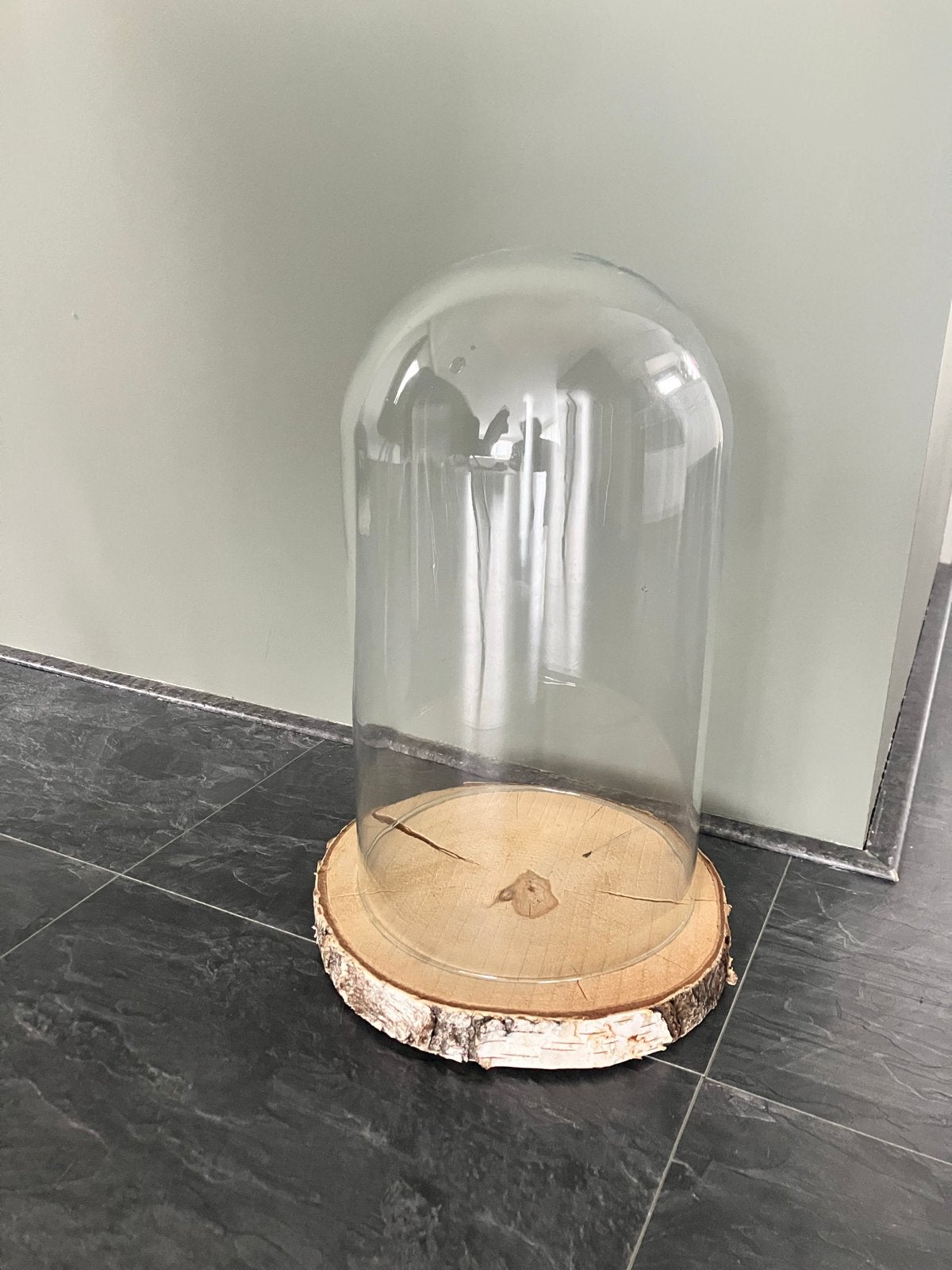 Glazen stolp met boomstam schijf als onderkant, Glas, Ophalen, Zo goed als nieuw, Met plateau