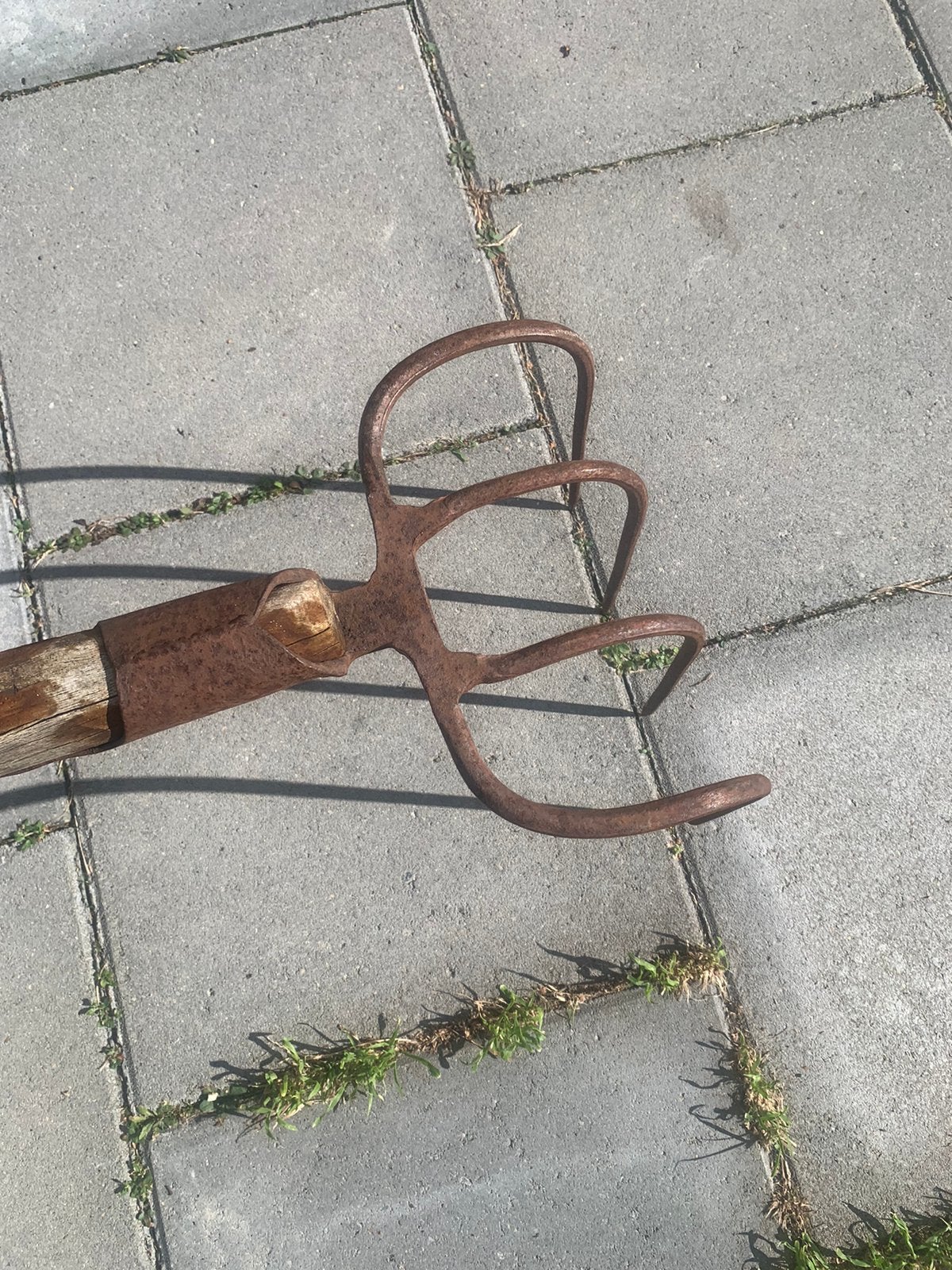 Sloothaak/ Walhaak, Tuin en Terras, Ophalen, Gebruikt