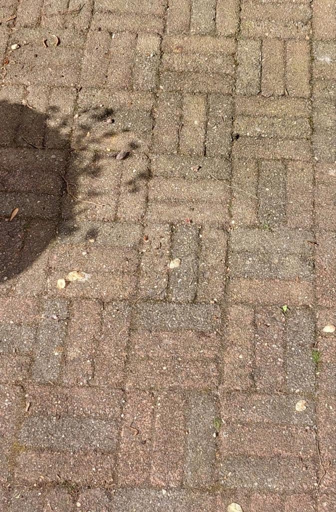 Klinkers, grindtegels en beton/stoeptegels, Ophalen, Gebruikt, Klinkers, 10 m² of meer