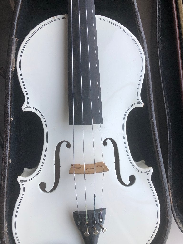 Viool 4/4, Muziek en Instrumenten, Ophalen of Verzenden, Gebruikt, 4/4-viool, Viool
