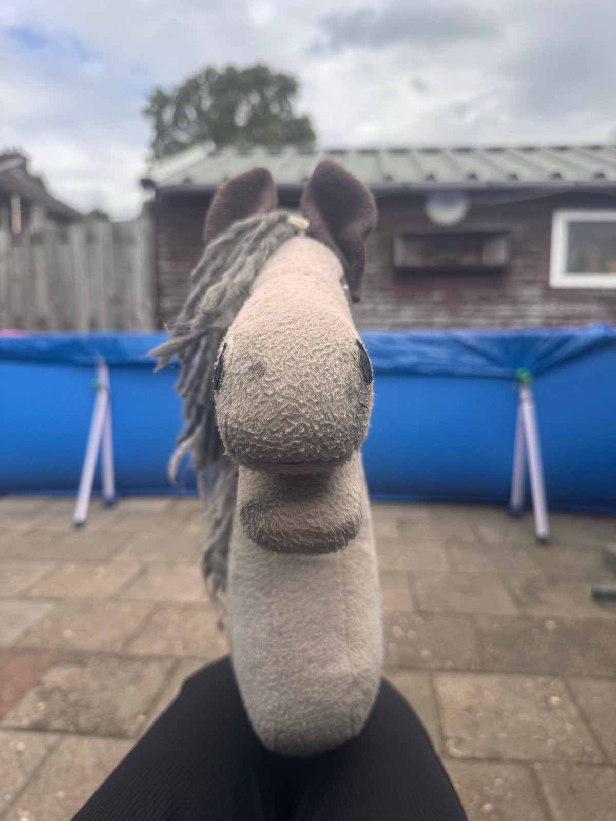 Hobbyhorse / Stokpaardje, Ophalen of Verzenden, Gebruikt, Jongen of Meisje