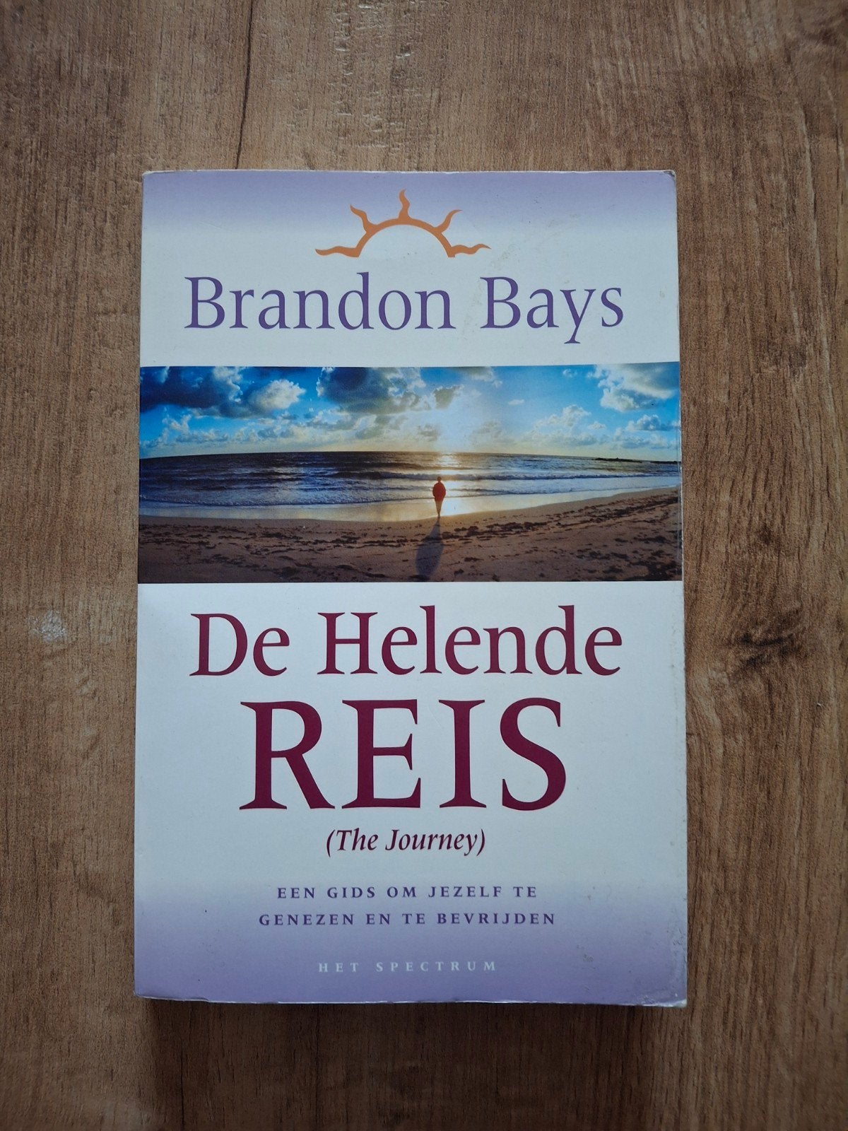 Brandon Bays - De helende reis, Boeken, Ophalen of Verzenden, Zo goed als nieuw, Brandon Bays