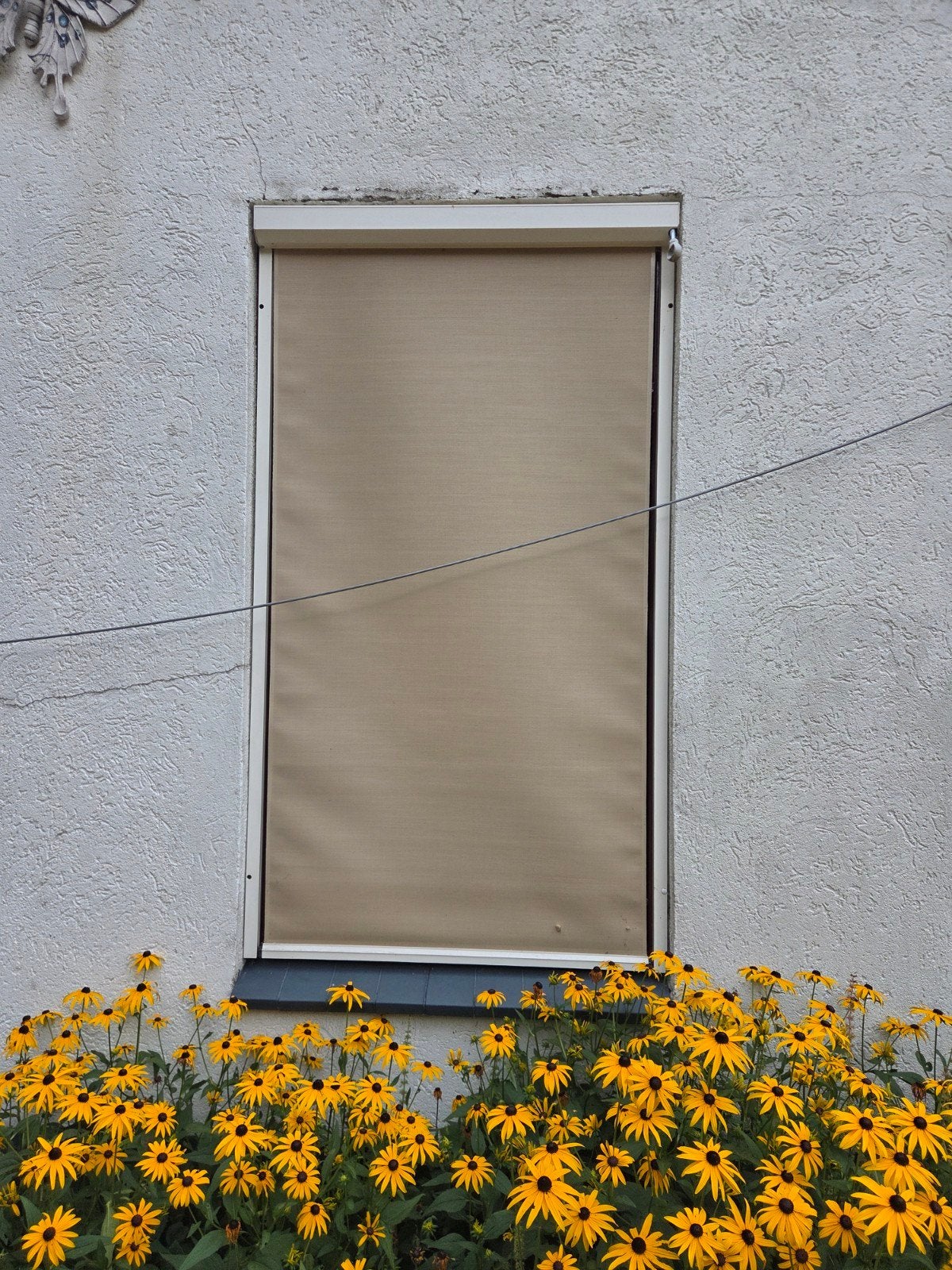 Screens - 3 stuks, Ophalen, Gebruikt, Minder dan 250 cm, 150 tot 300 cm
