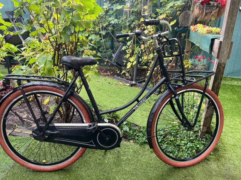 Wheelerz stations/damesfiets 28 inch, Terugtraprem, Ophalen, Overige merken, 53 tot 56 cm