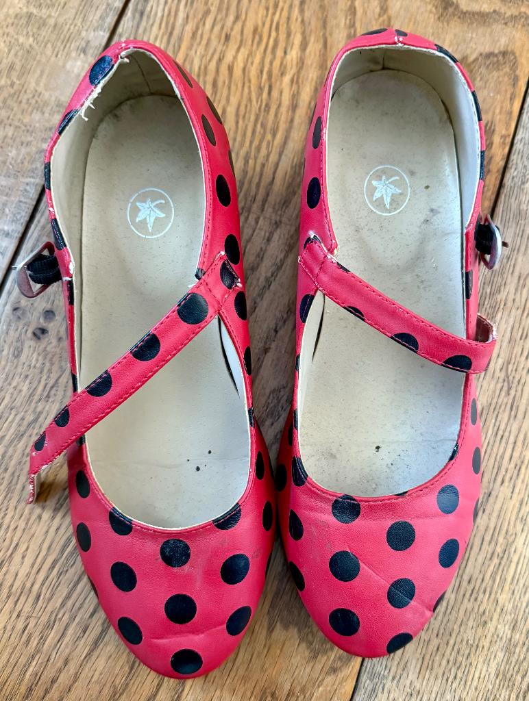 Spaanse danseres schoenen, Ophalen, Gebruikt, Meisje