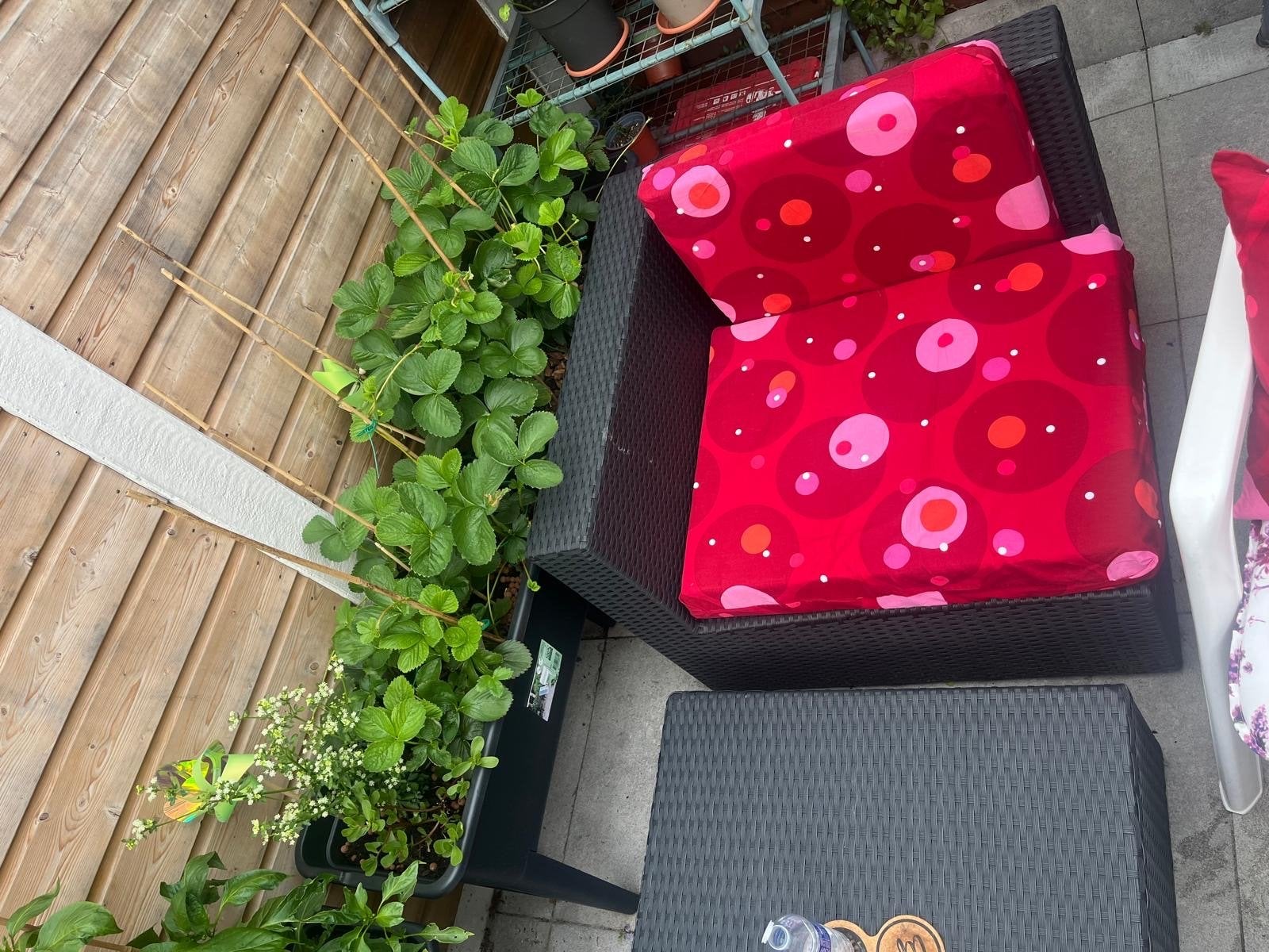 Forza Tuinsetje met of zonder kussens, Gebruikt, Wicker, Stoel, Tuinset