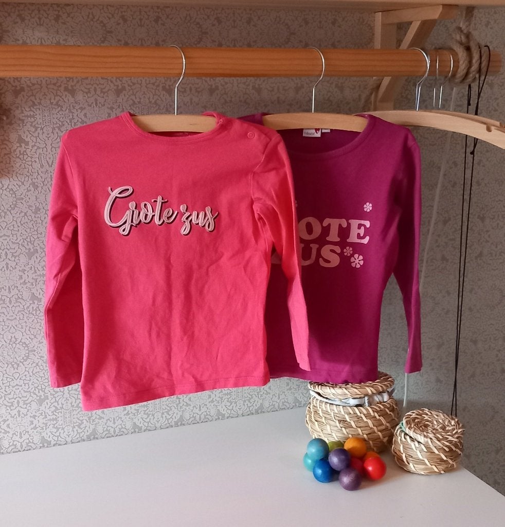 Grote Zus Shirt 92 en 98, Ophalen of Verzenden, Gebruikt, Meisje, Shirt of Longsleeve