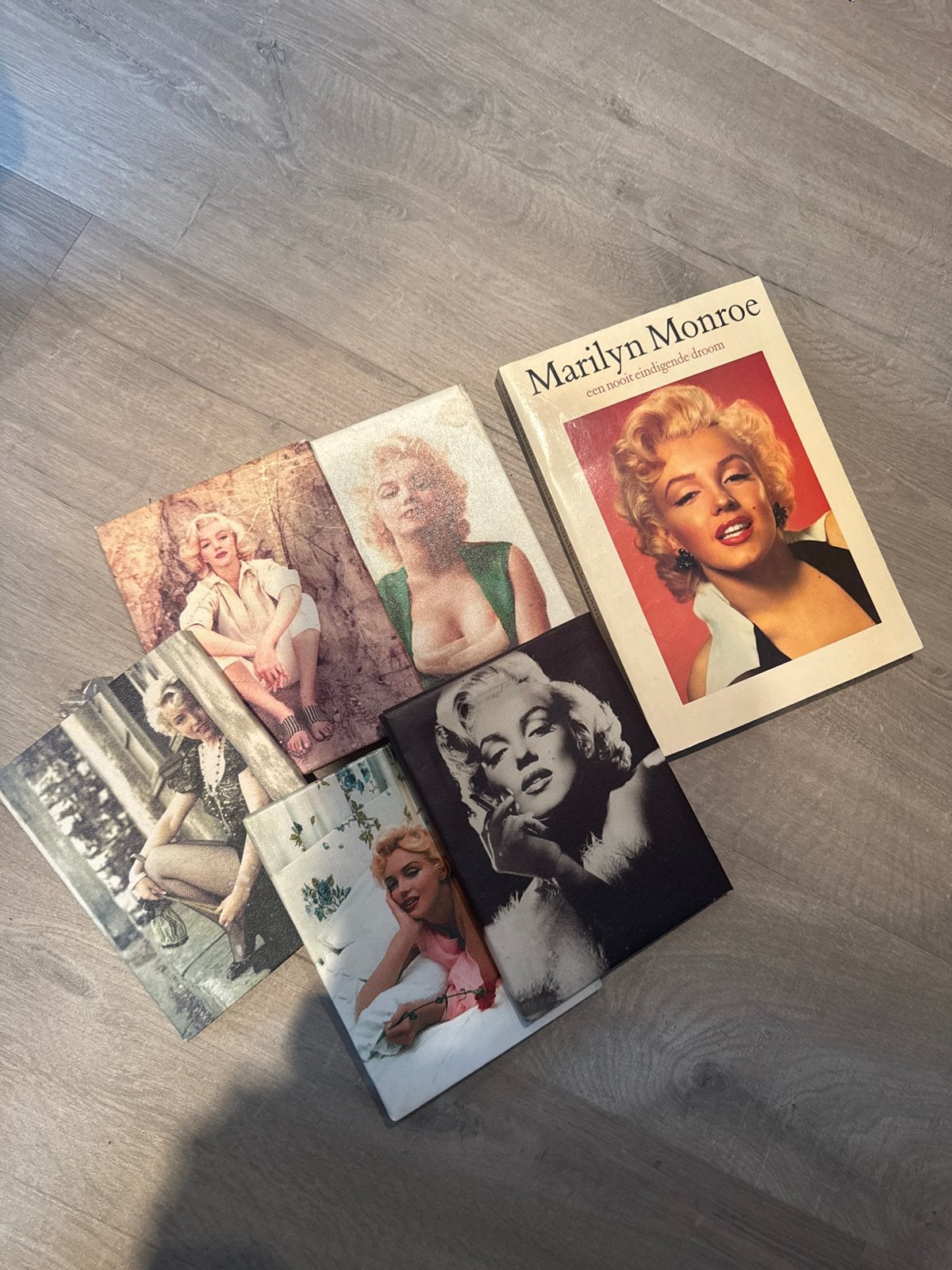 Marilyn Monroe Boek & 5 Canvas Schilderijen Set, Ophalen of Verzenden, Gelezen, Film, Tv en Media
