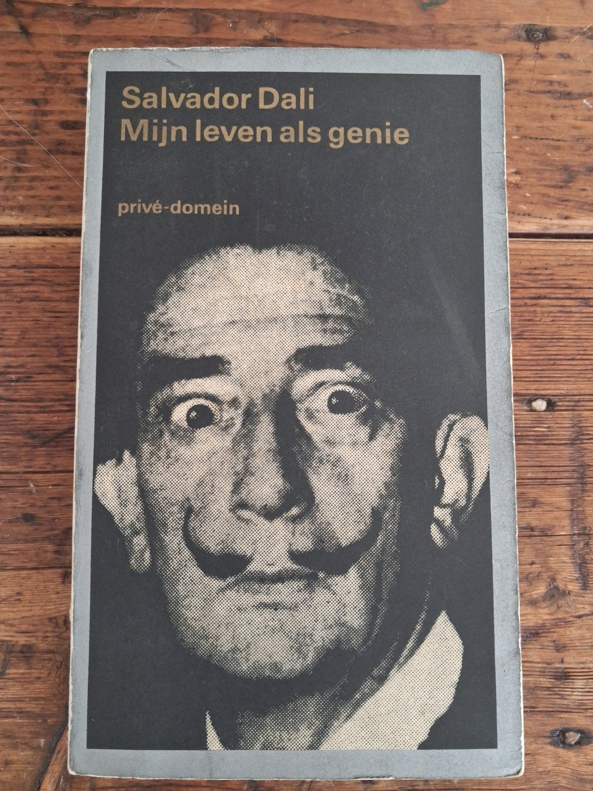 Salvador Dali - Mijn leven als genie  (Privé-Domein 1e druk), Ophalen of Verzenden, Gelezen