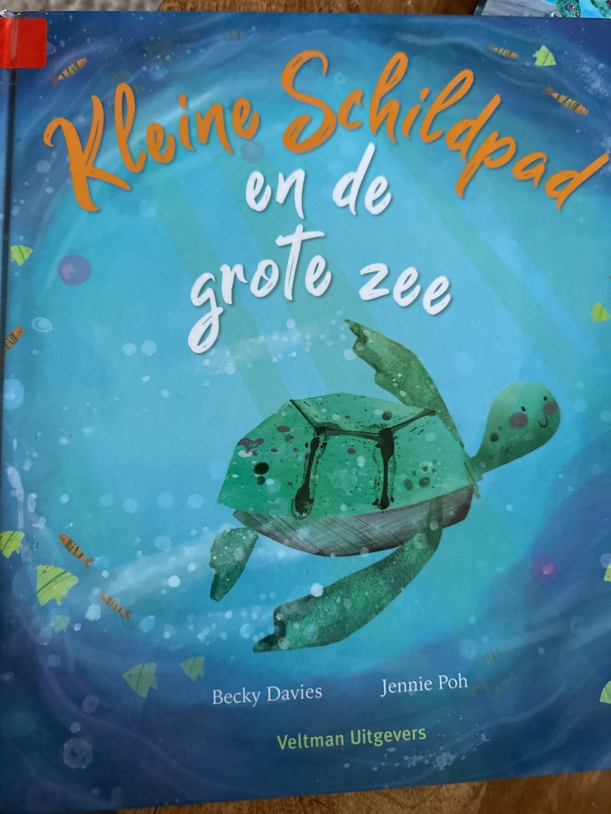 BOEK GEZOCHT: Kleine Schildpad en de grote zee, Ophalen of Verzenden, Jongen of Meisje, Fictie algemeen