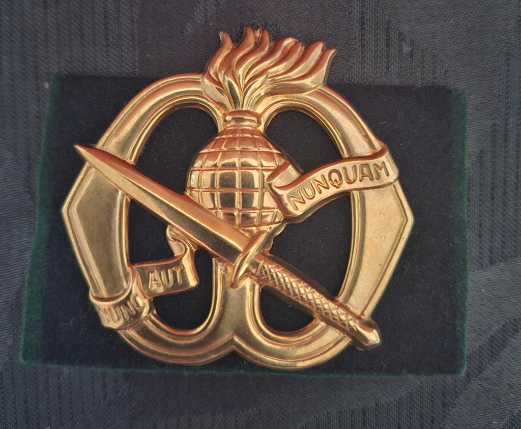 Korps commando troepen, embleem, Verzamelen, Militaria | Algemeen, Verzenden, Landmacht, Nederland, Embleem of Badge