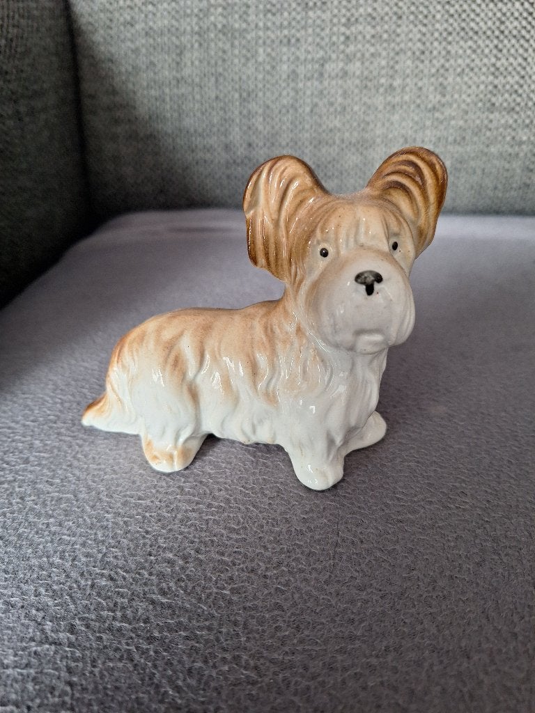 Skye terrier, Ophalen of Verzenden, Gebruikt, Dier