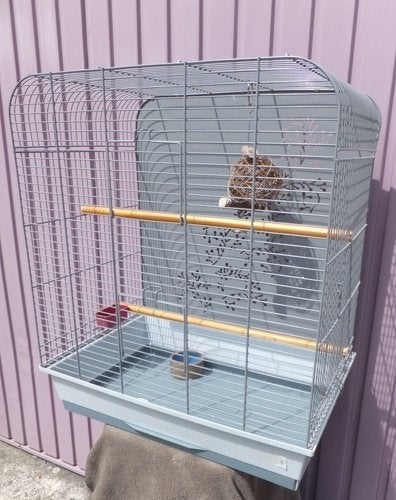 Vogelkooi 65 cm hoog, Ophalen, Gebruikt, Metaal, Vogelkooi