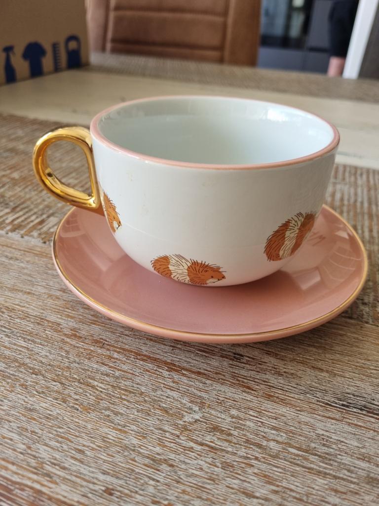 Hema kop en schotel met cavia's en leuke tekst, Ophalen, Keramiek, Zo goed als nieuw, Overige stijlen
